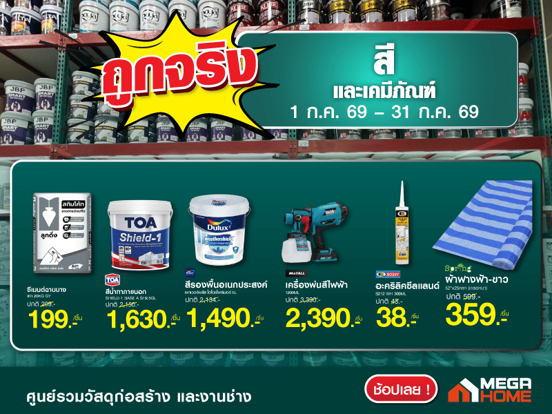 ถูกจริงสี